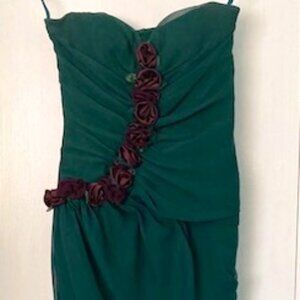 Vogue Handmade 10  EUC Forrest Green Chiffon/Burgundy Floral Prom/Evening Gown